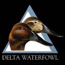 Delta Waterfowl